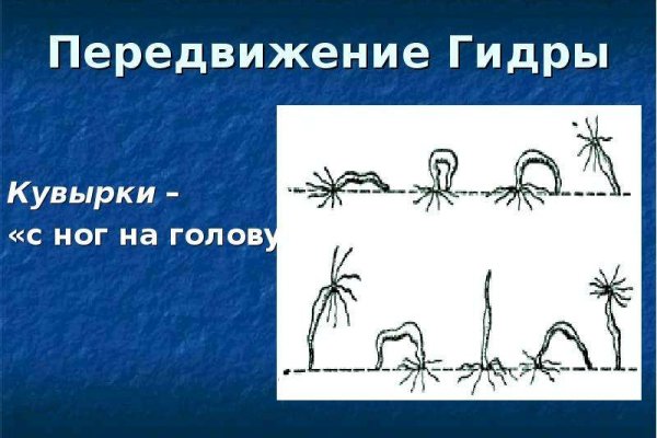 Кракен ссылка на сайт
