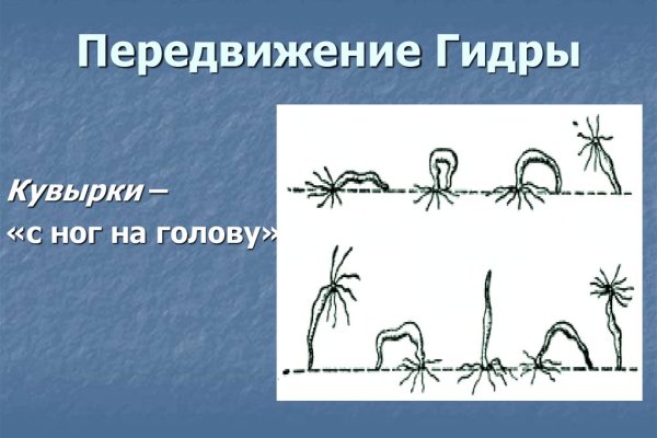 Можно ли зайти на кракен через обычный браузер
